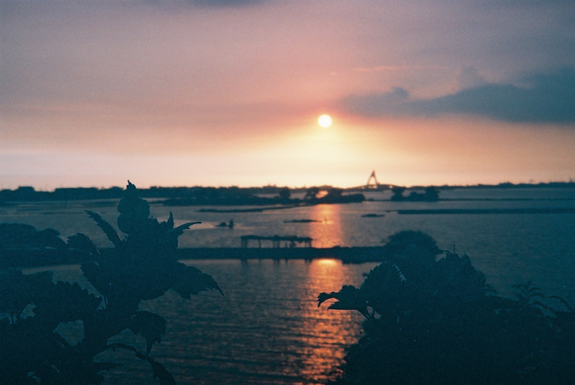 在海洋文化之前或者之後的「港文化」：南國的製冰廠