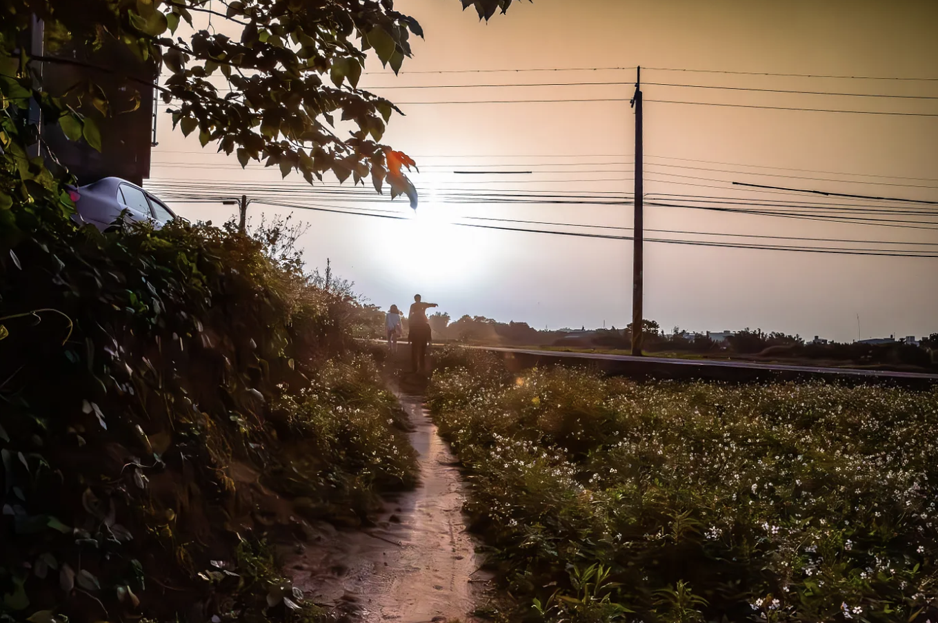 大風吹——吹土地、吹邊界、吹裡外的人們