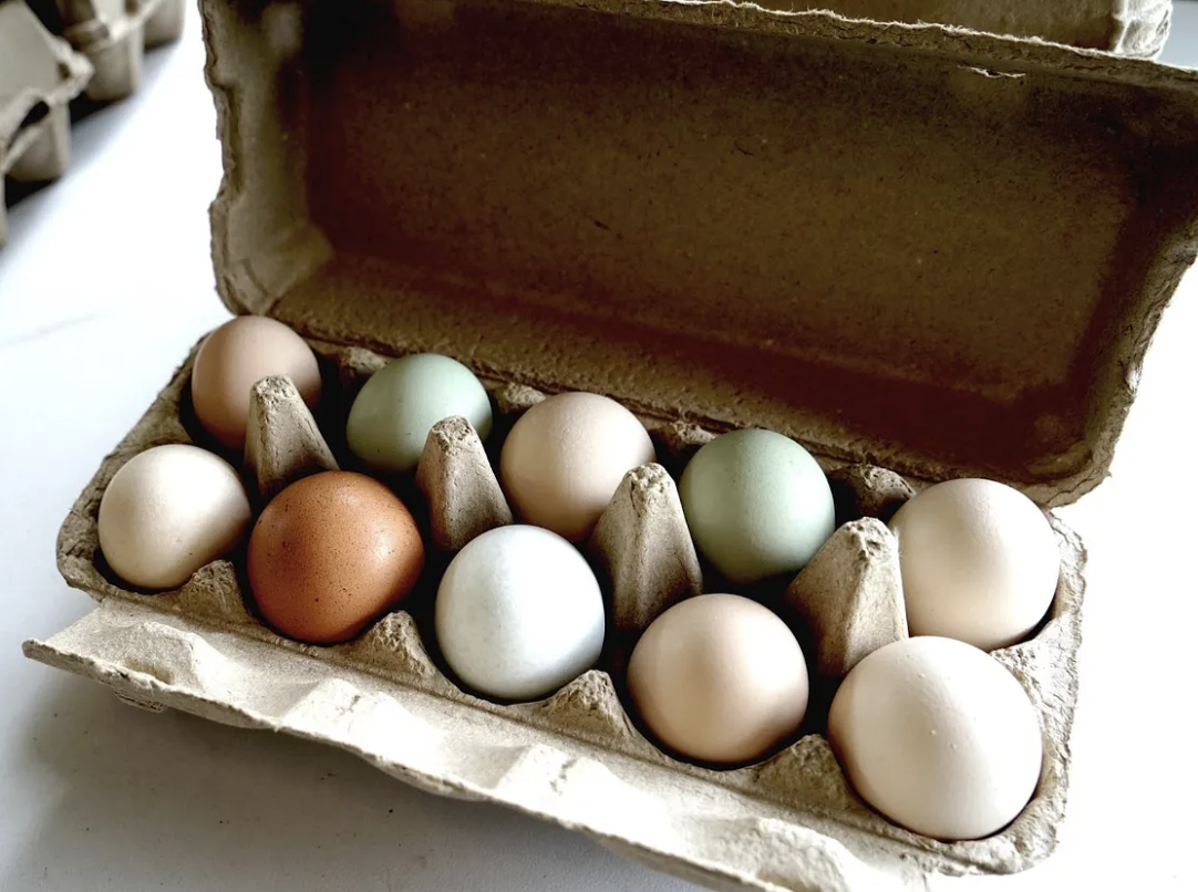 用一顆野放雞蛋的陽光風味，改變孩子的飲食選擇