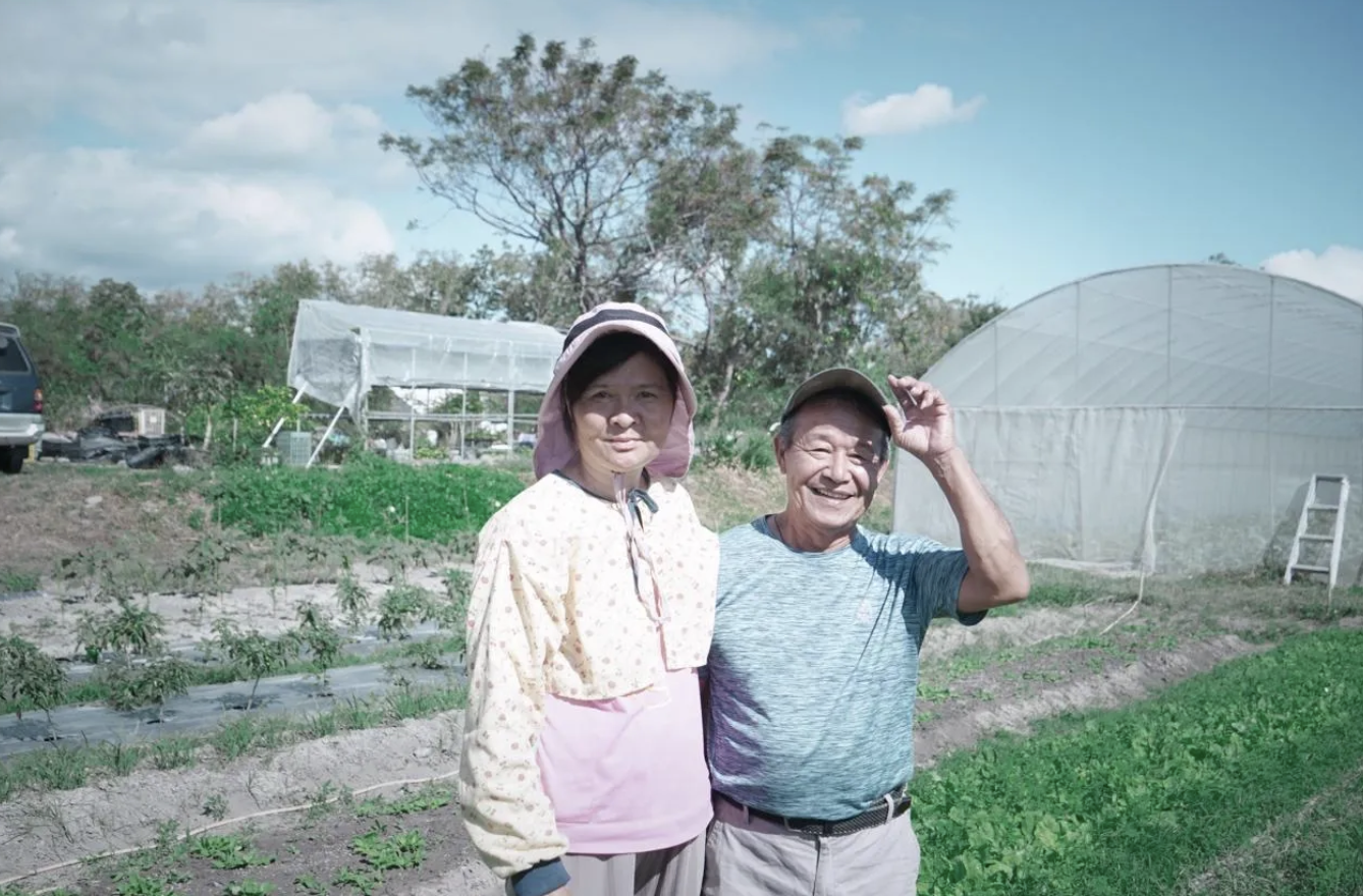 我在我的農場，很自在！