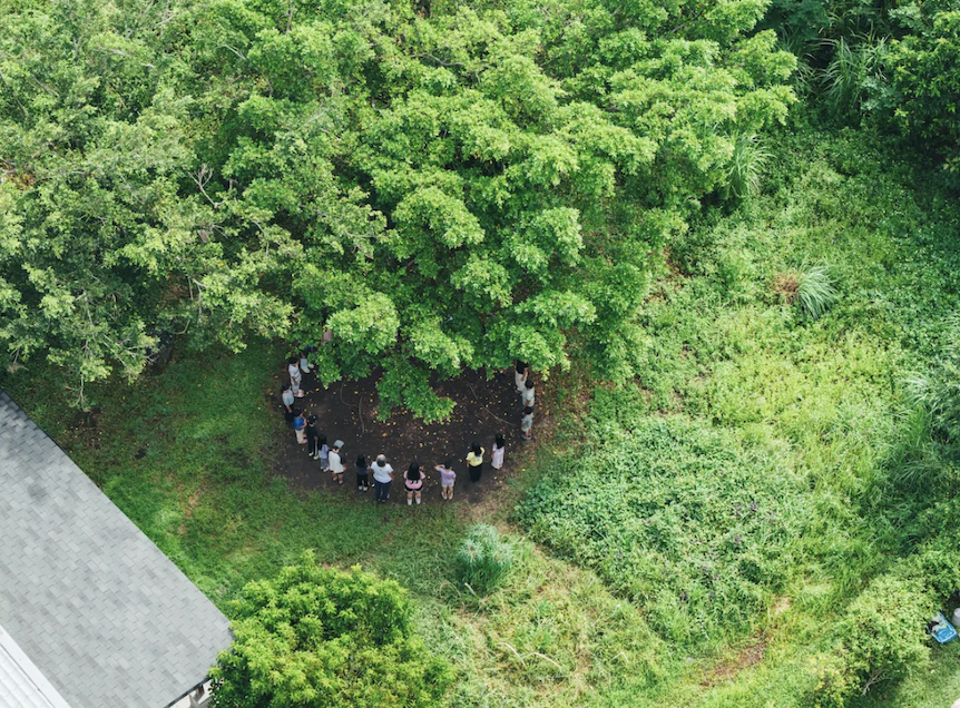 Wawa（孩子），說自己的話吧。你就是希望和力量 — — Tamorak南瓜共學園